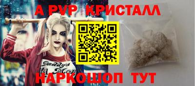 герыч Кингисепп