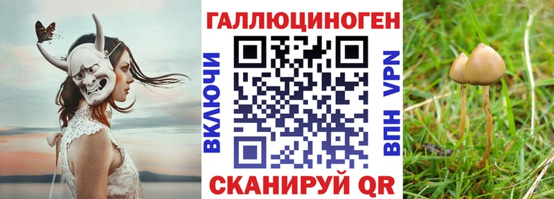 Галлюциногенные грибы мицелий  где купить наркоту  Керчь 